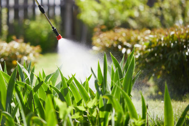 Tamper-Resistant Bait Stations for Rodents in Yermo