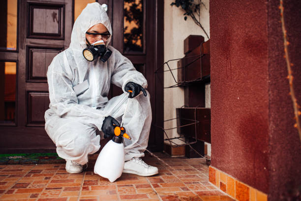 Attic and Crawl Space Rodent Treatment in Yermo